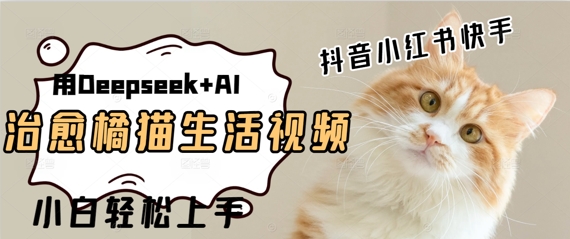 疯狂火爆，用Deepseek+AI做治愈橘猫系列视频，小白轻松制作+快速拿到结果-熵纪元
